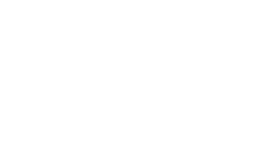 NP Productions